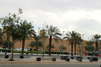 Wide concrete road lined with trees inside the Shri Hari Baug layout.