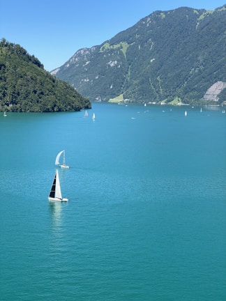 Members enjoying a lively regatta race on the sparkling waters of Bear Lake.