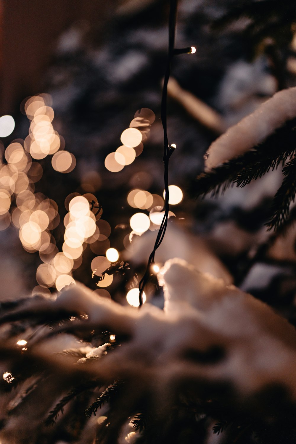 Nahaufnahme eines Weihnachtsbaums mit Lichtern im Hintergrund
