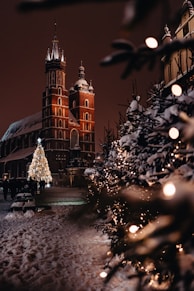 a christmas tree in front of a large building