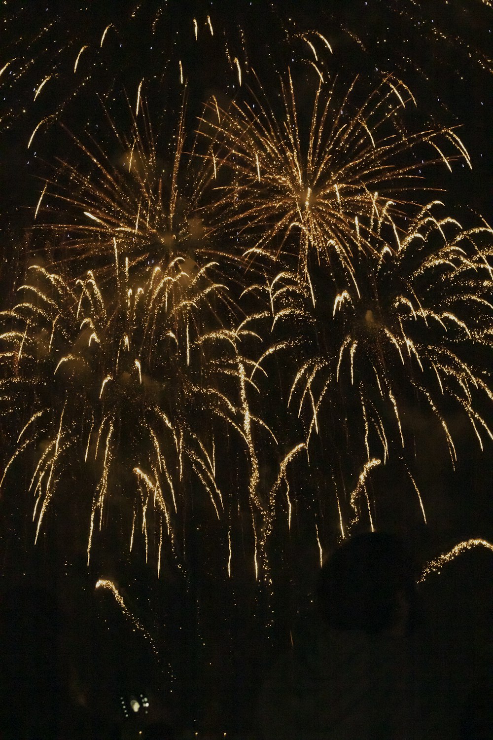 a group of people watching fireworks in the sky