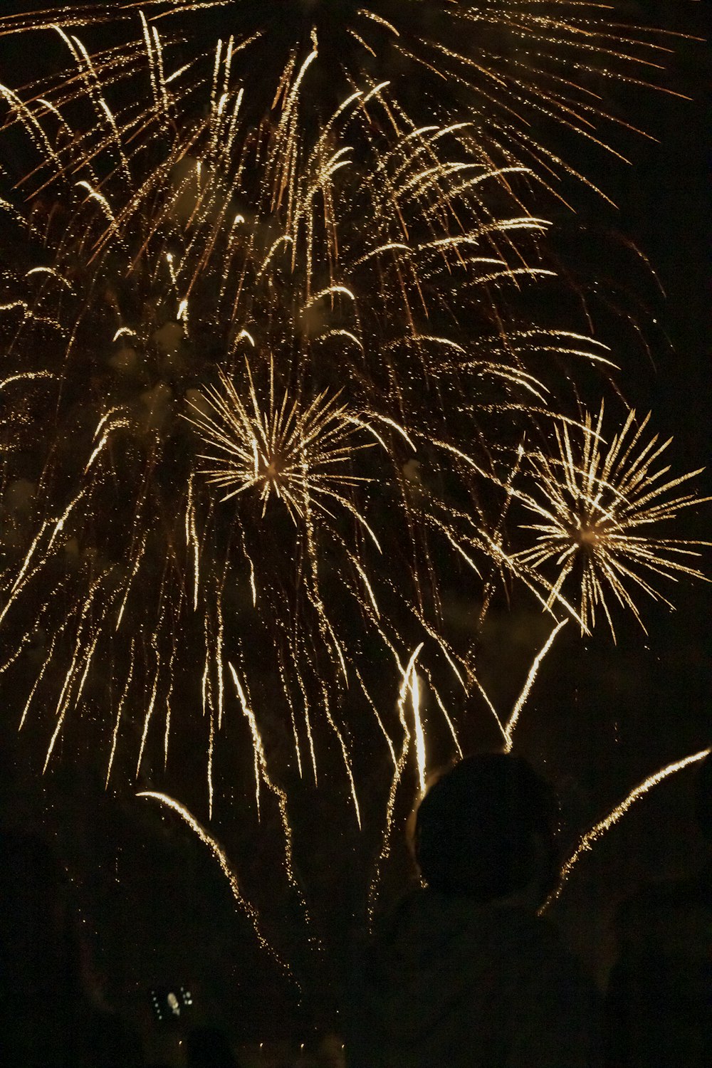 a group of people watching a fireworks display