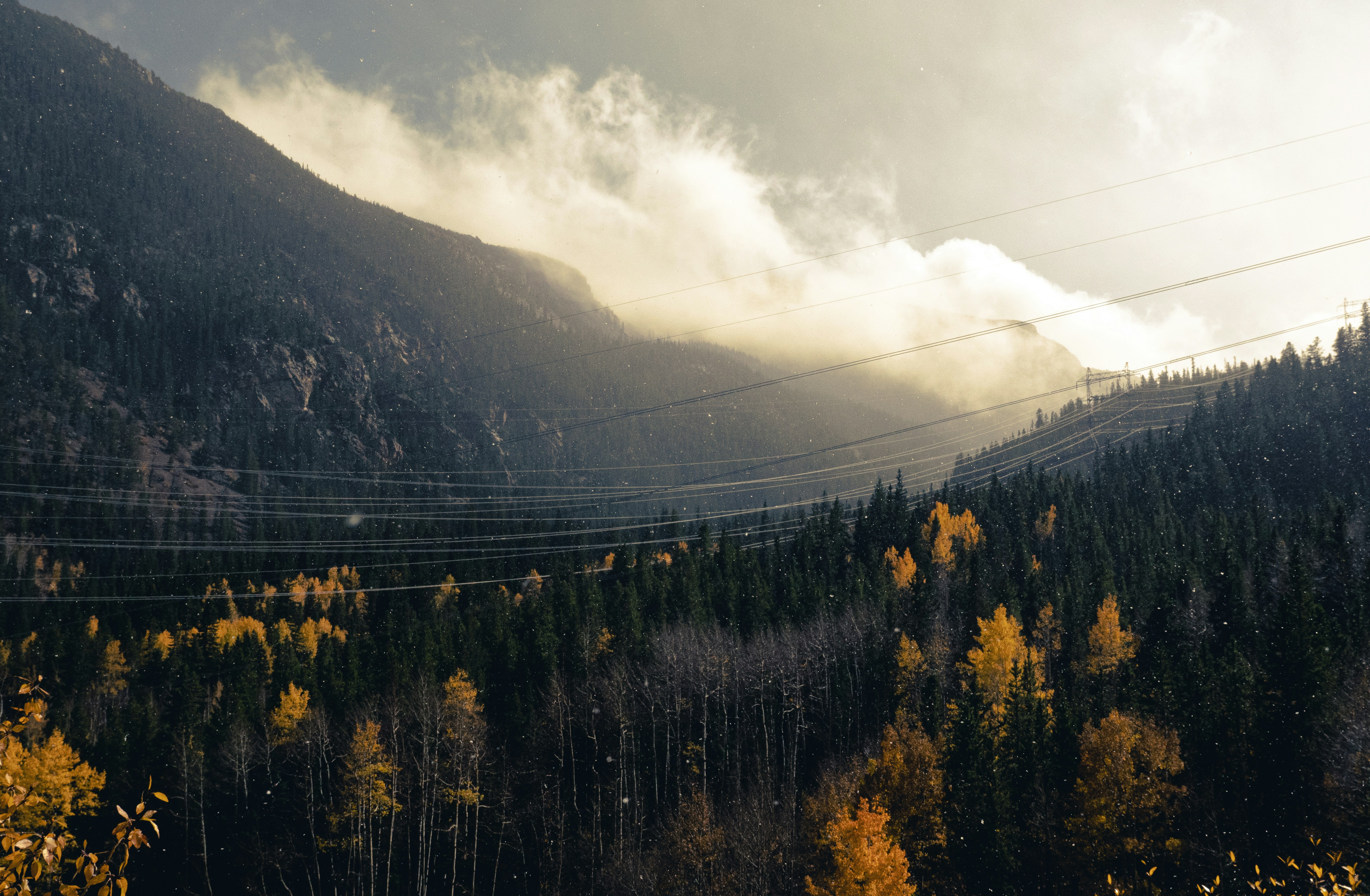 a scenic view of a forest with a mountain in the background, Cloudy and moody autumn afternoon in Guanella Pass, Colorado