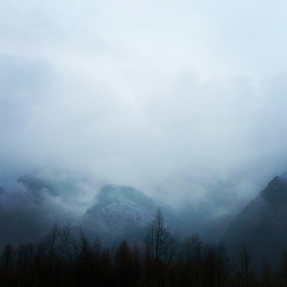 a mountain covered in fog with trees in the foreground