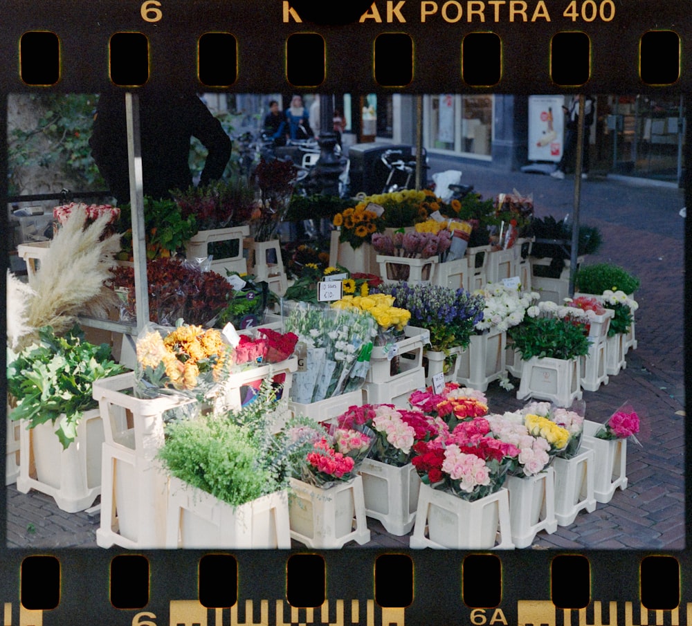 a bunch of flowers that are sitting on a table