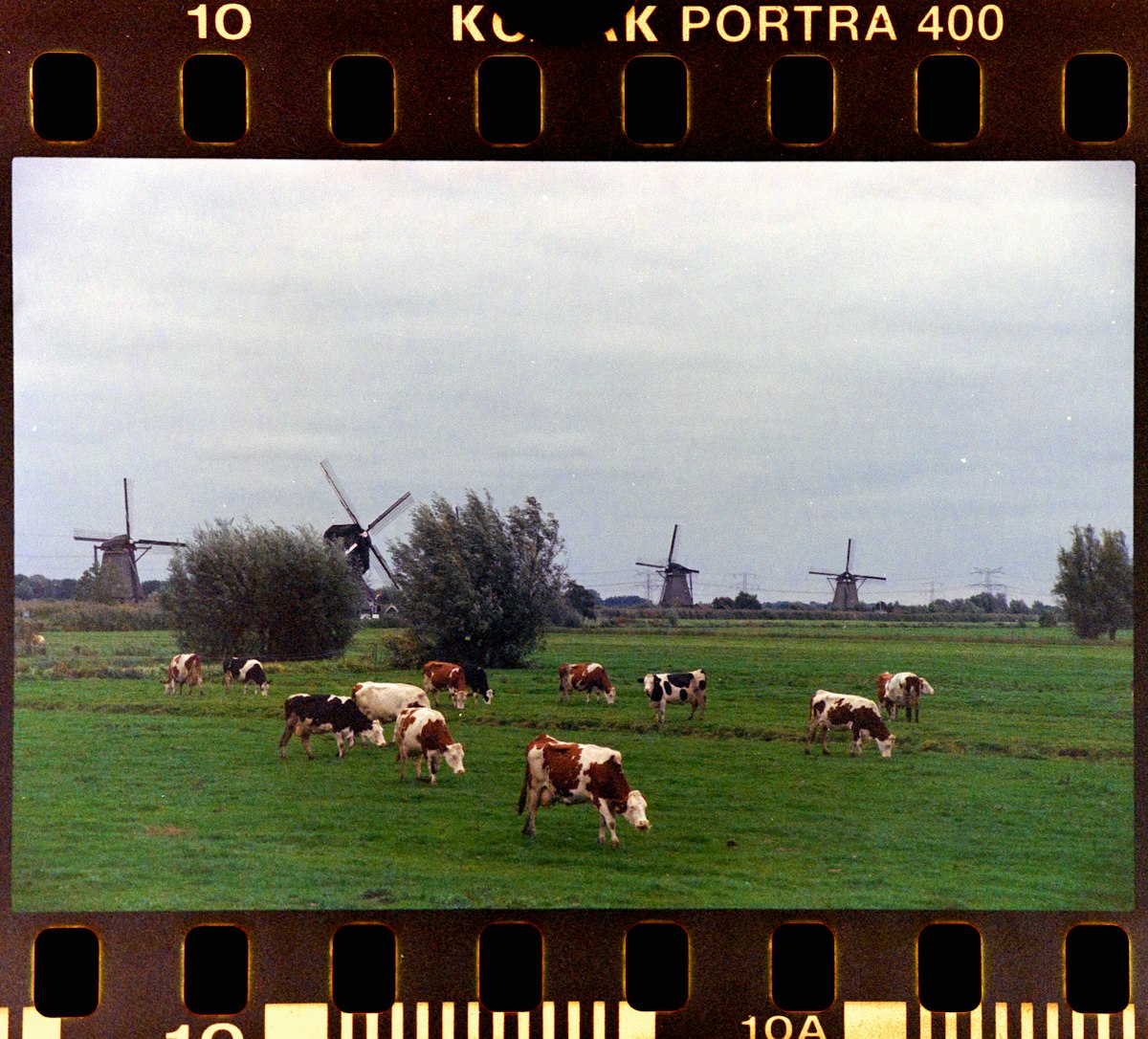 Hoogelandse Boerenzuivel