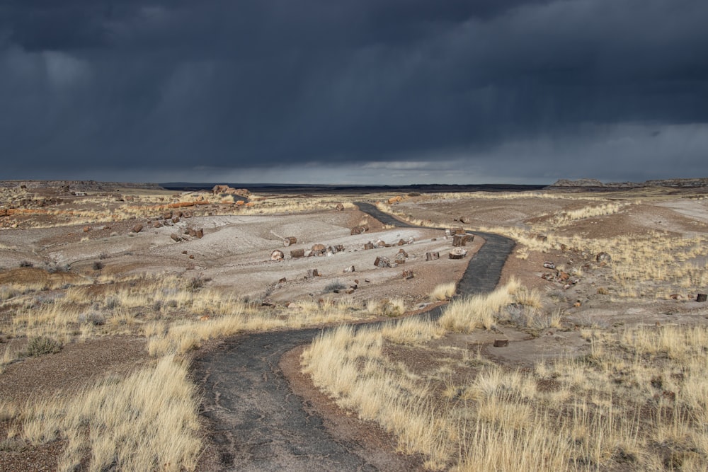 a dirt road in the middle of a dry grass field