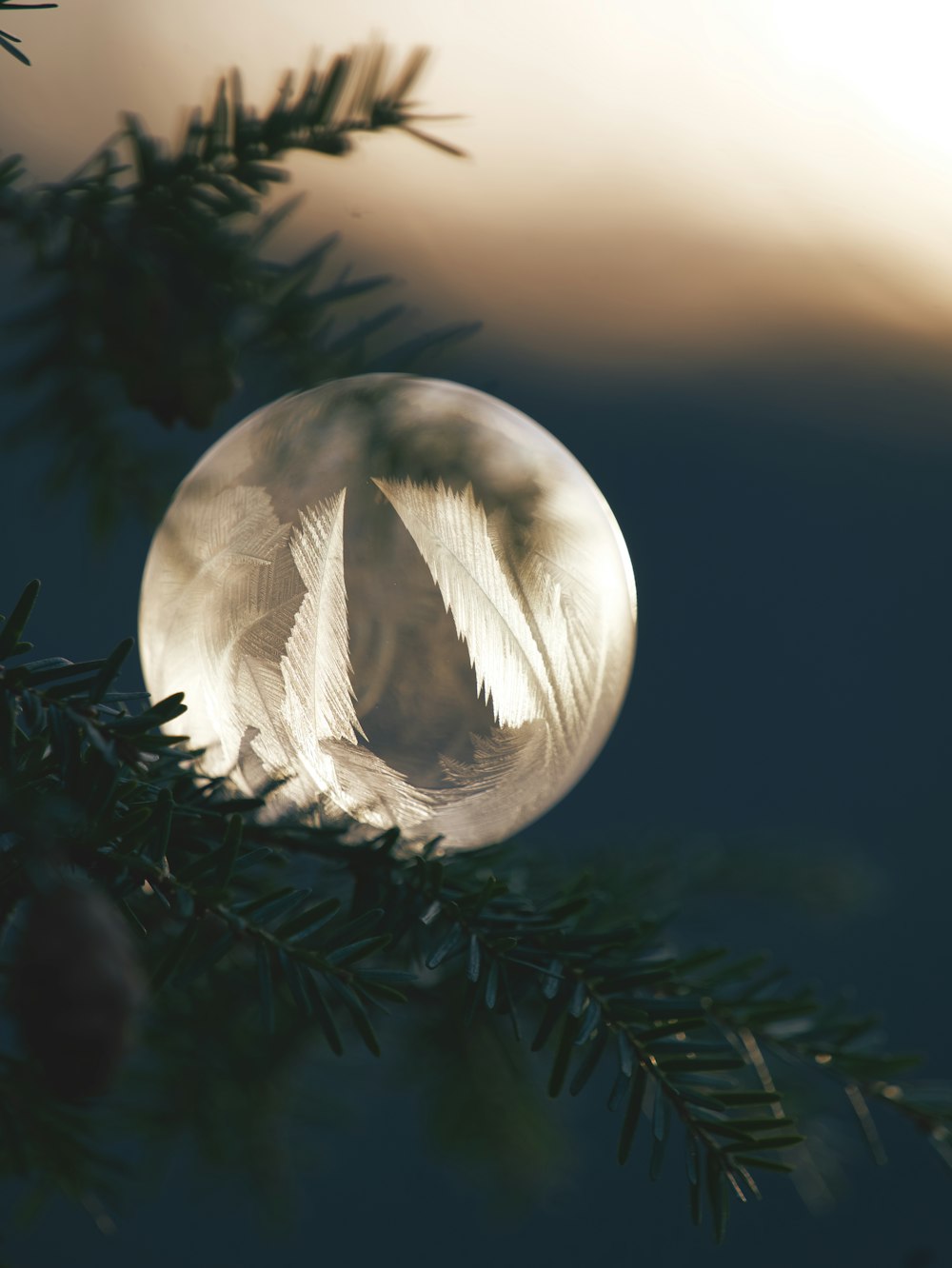 a glass ornament hanging from a pine tree