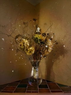 A cozy corner with a terracotta vase holding dried flowers beside a hand-drawn logo on a warm peach wall.