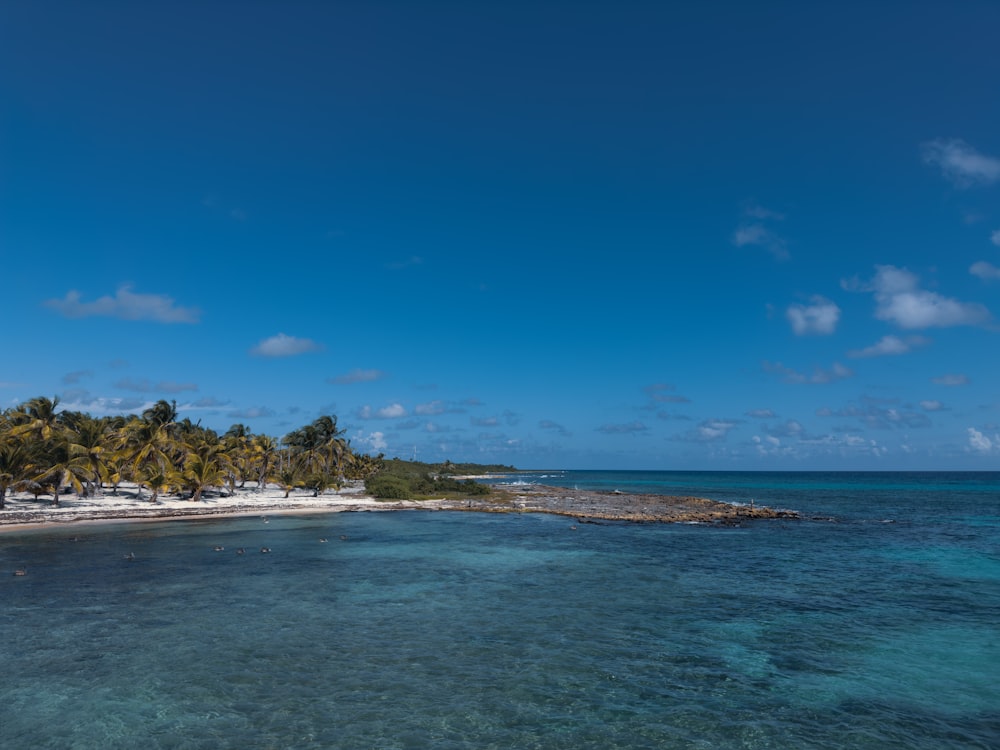 a tropical island with palm trees and clear blue water