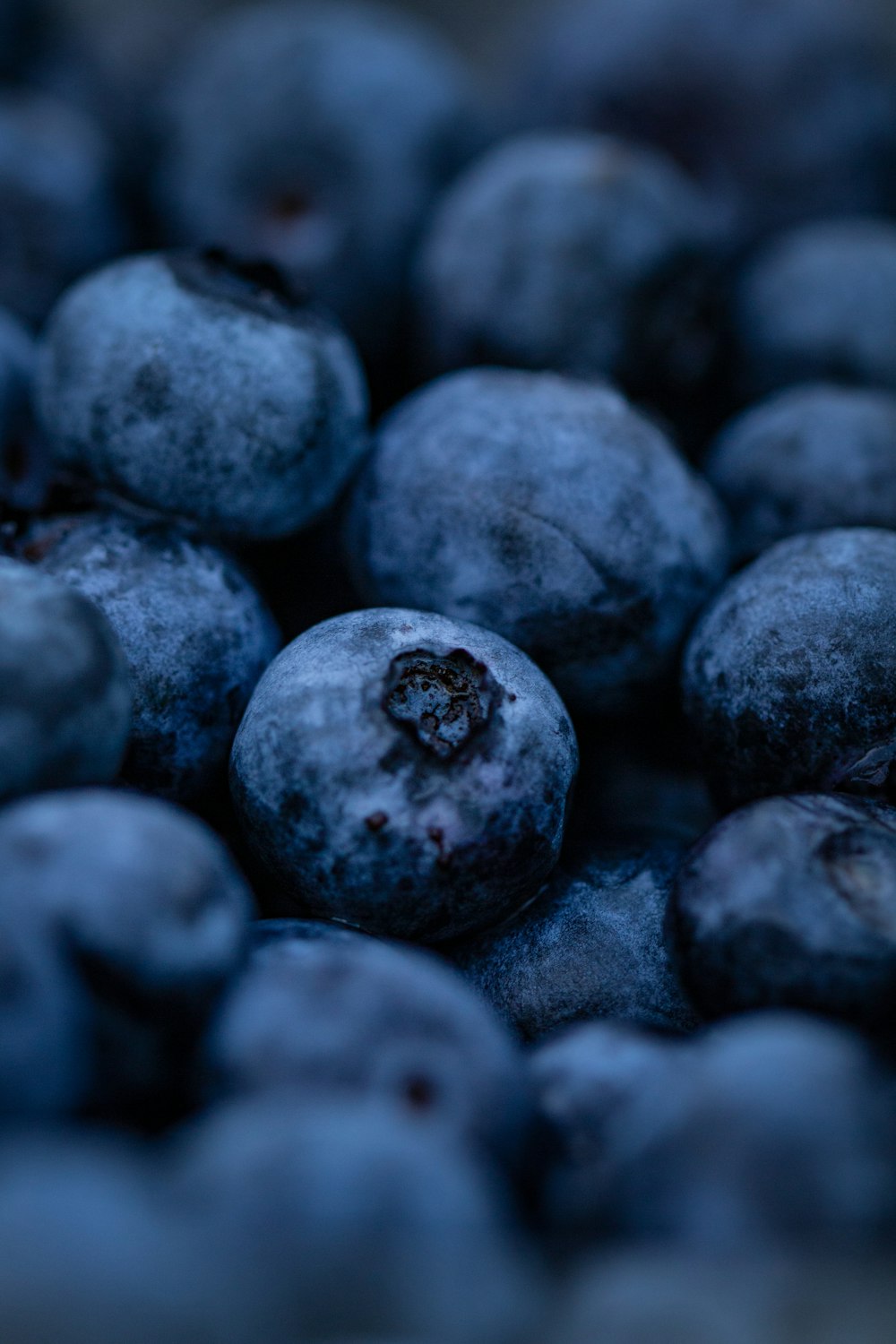 a close up of a bunch of blueberries