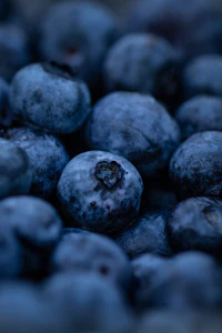 Close-up of fresh blueberries