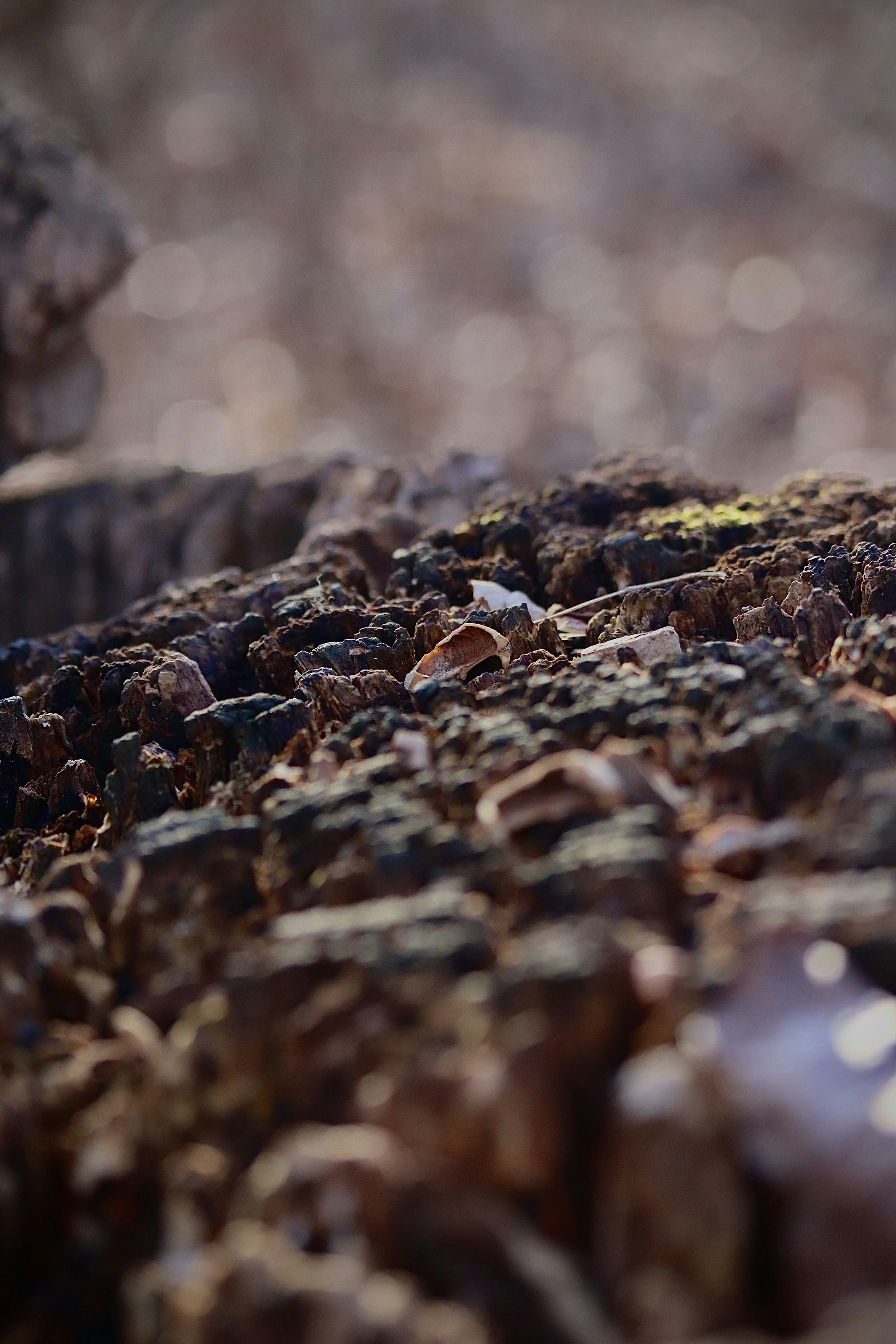 Josh M ( jmxxi) Unsplashフォトコミュニティ Josh M ( jmxxi) Unsplashフォトコミュニティ