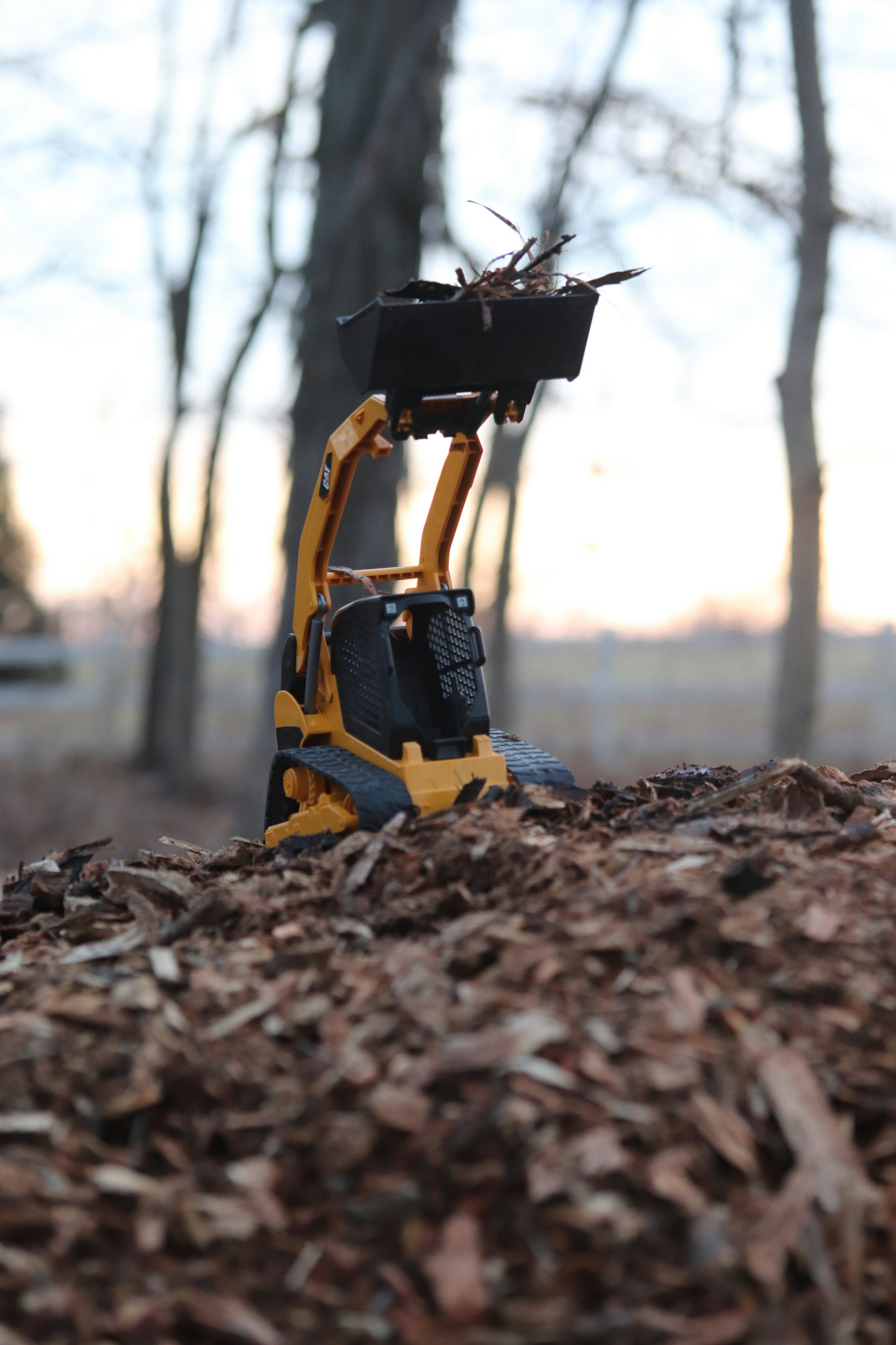 Josh M ( jmxxi) Unsplashフォトコミュニティ Josh M ( jmxxi) Unsplashフォトコミュニティ