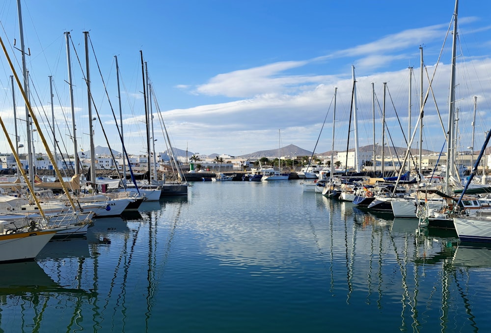 un montón de barcos que están sentados en el agua