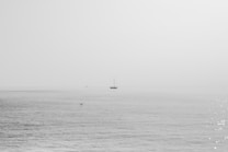 A serene and minimalistic seascape with a sailboat on the horizon. The water is calm and expansive with a subtle gradient of grey tones. Light reflects off the surface, adding a gentle sparkle. An indistinct figure of a bird appears in the foreground, adding a sense of scale.
