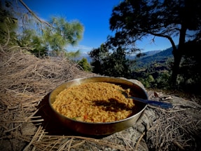 A bowl of cooked noodles sits on a rocky surface, surrounded by dry twigs, with silverware resting on the bowl's edge. In the background, a scenic view of a forested valley and mountains under a clear blue sky is visible, framed by tall trees.
