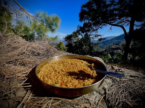 A bowl of cooked noodles sits on a rocky surface, surrounded by dry twigs, with silverware resting on the bowl's edge. In the background, a scenic view of a forested valley and mountains under a clear blue sky is visible, framed by tall trees.