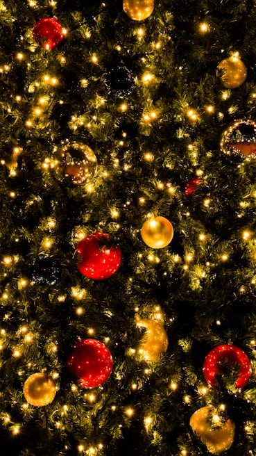 Rows of lush green abetos decorated with subtle white and gold ornaments