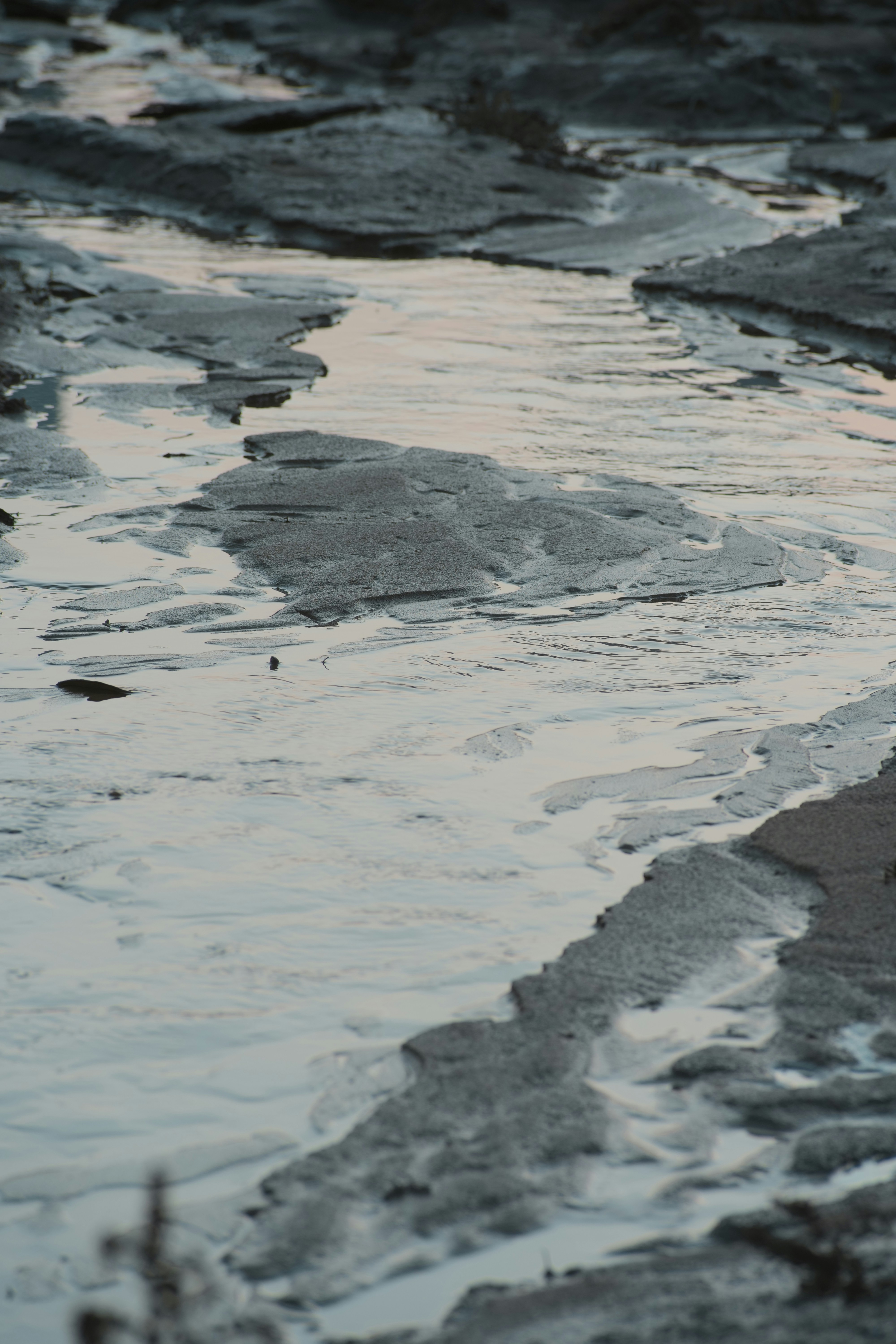 a bird standing on the edge of a body of water