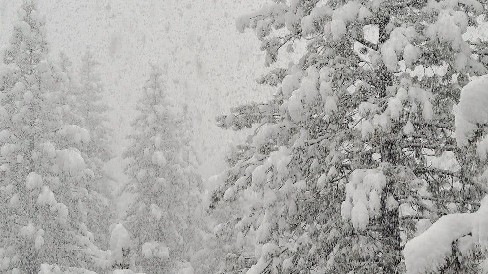 a person is skiing down a snowy hill