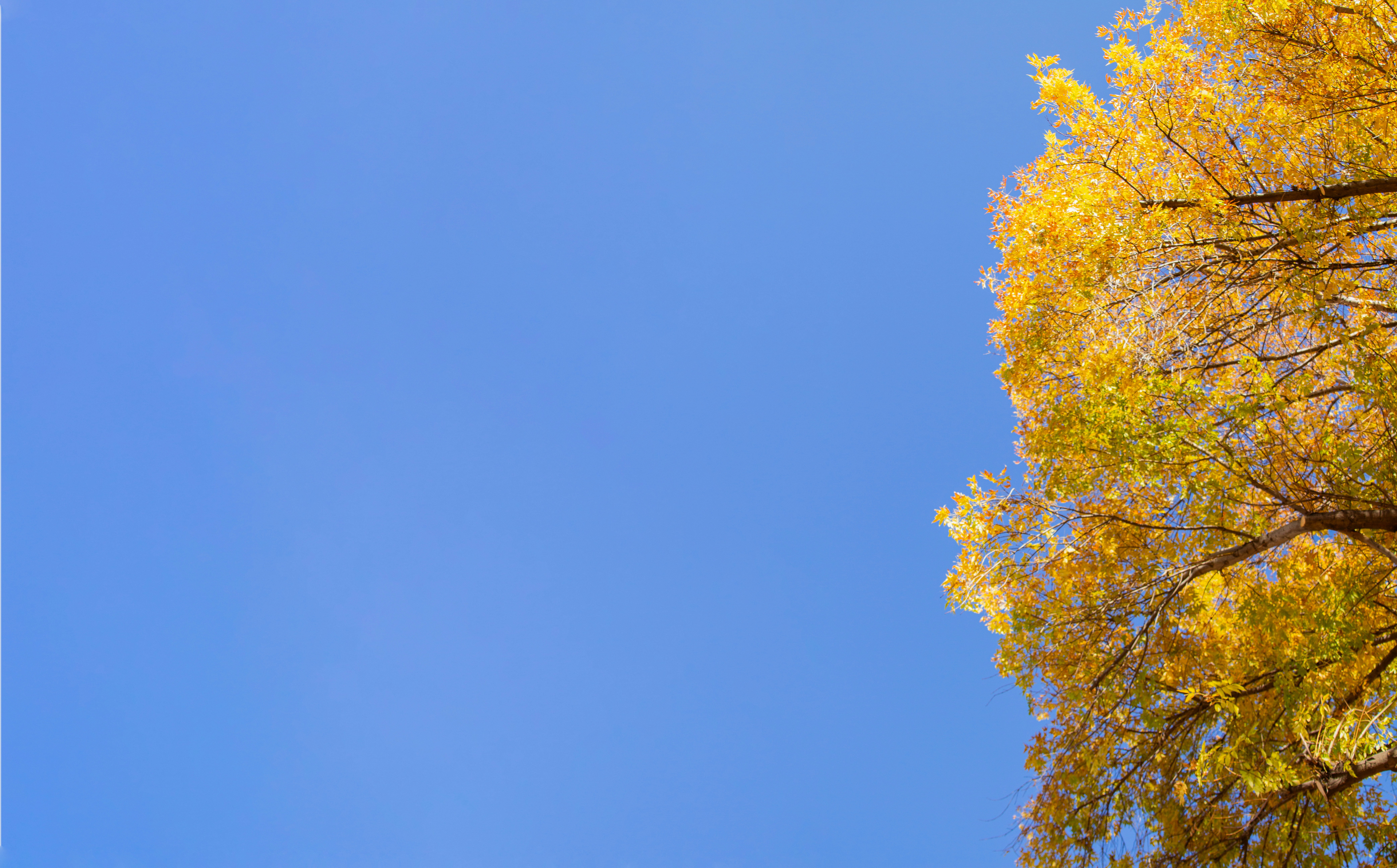 Photo by emmanuelphaeton