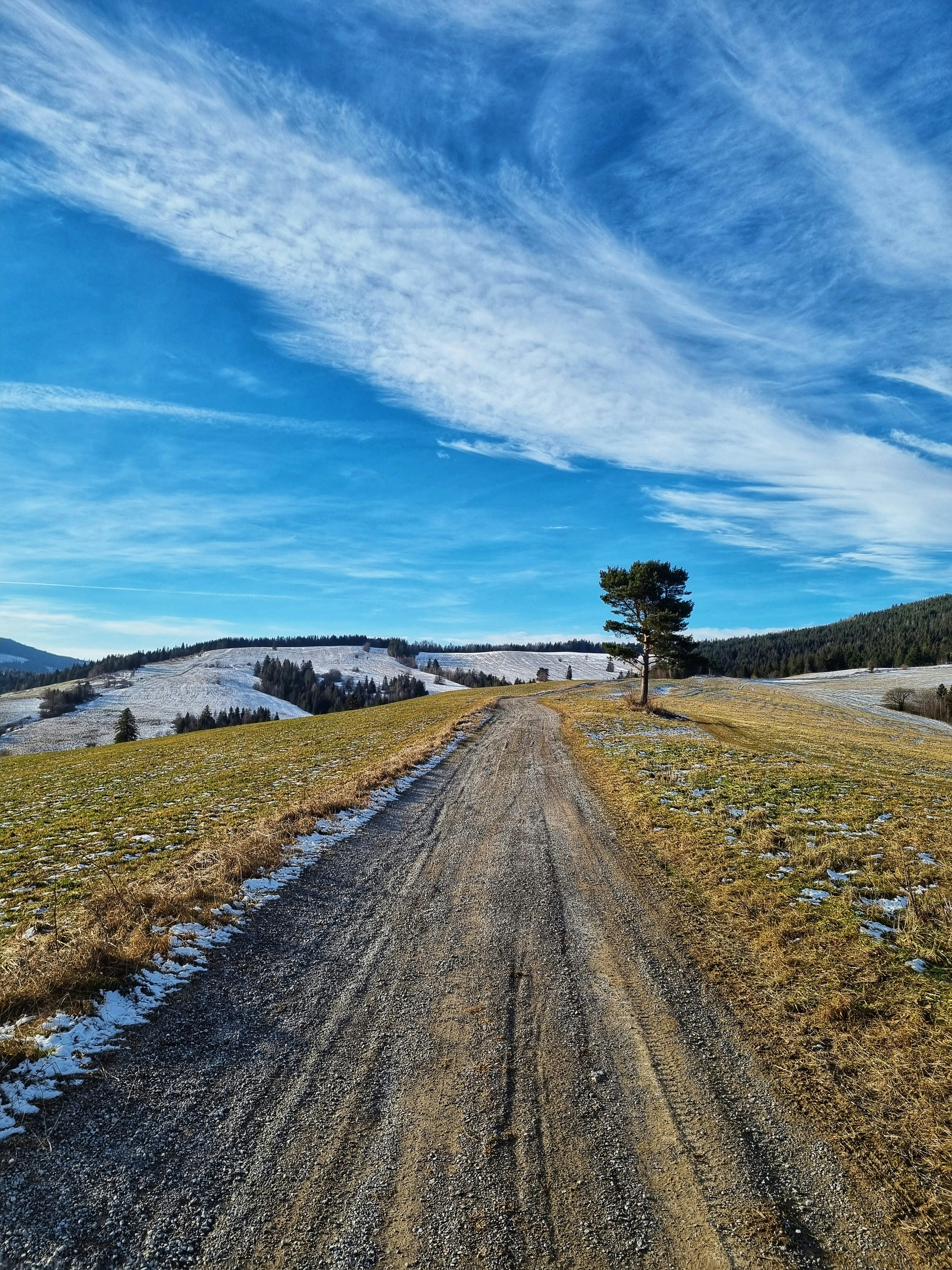 a dirt road in the middle of a field