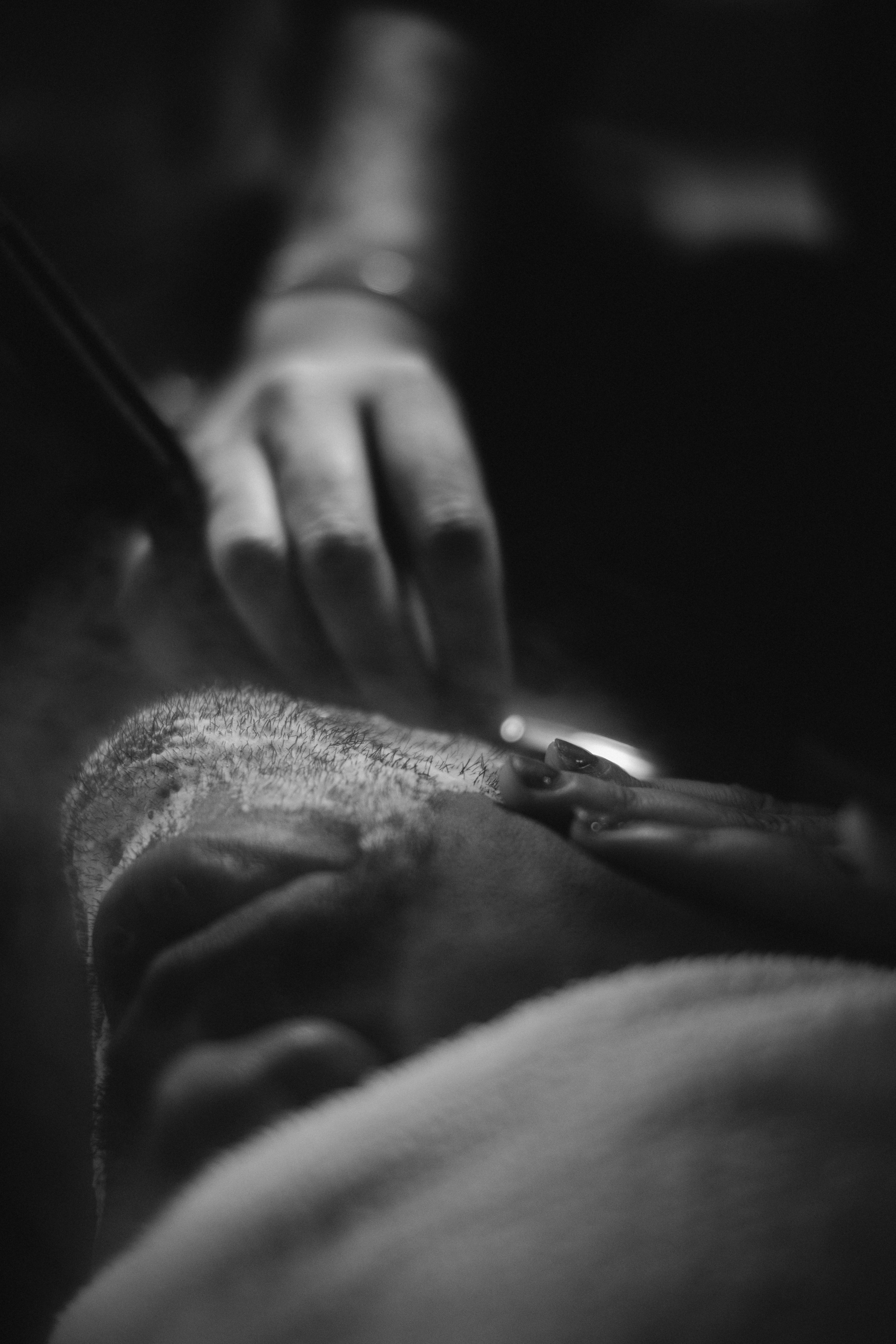 Photo by reddfrancisco