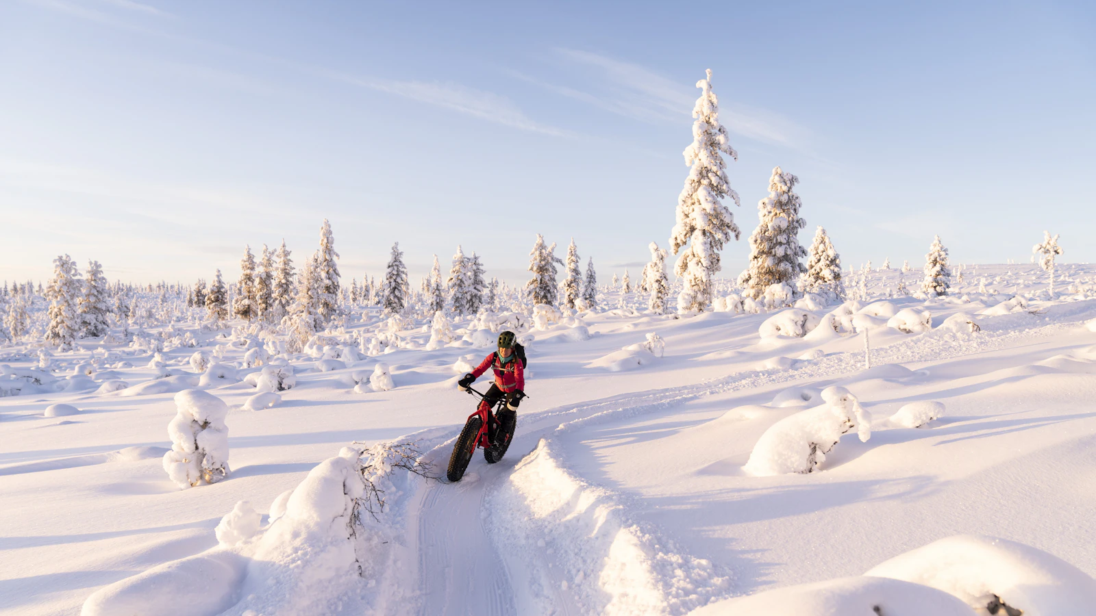 A fat bike on a snowy trail between frosted trees — Saariselkä, Finland