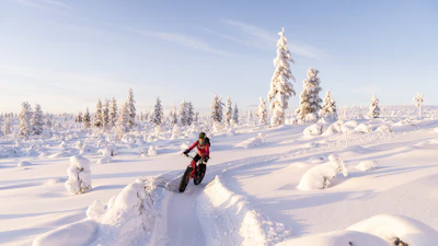 A fat bike on a snowy trail between frosted trees — Saariselkä, Finland