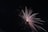 Close-up of colorful fireworks exploding in the night sky.