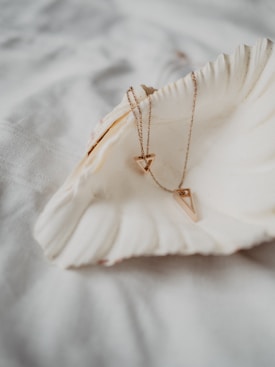 A delicate piece of gold jewelry with triangular pendants rests inside a large, open seashell. The background appears soft and blurred, giving a dreamy and sophisticated feel to the scene.