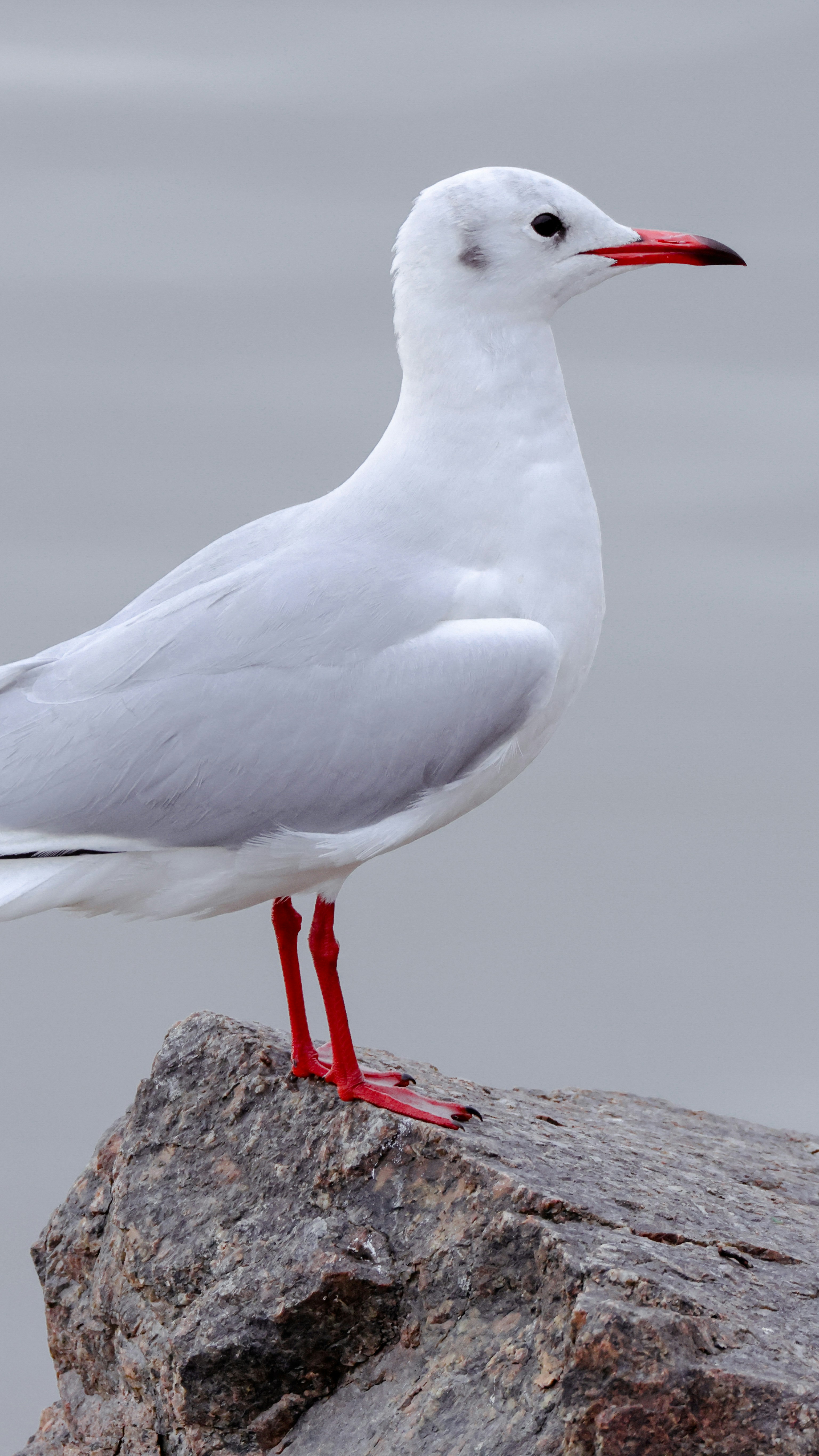 Photo by dickenslin76