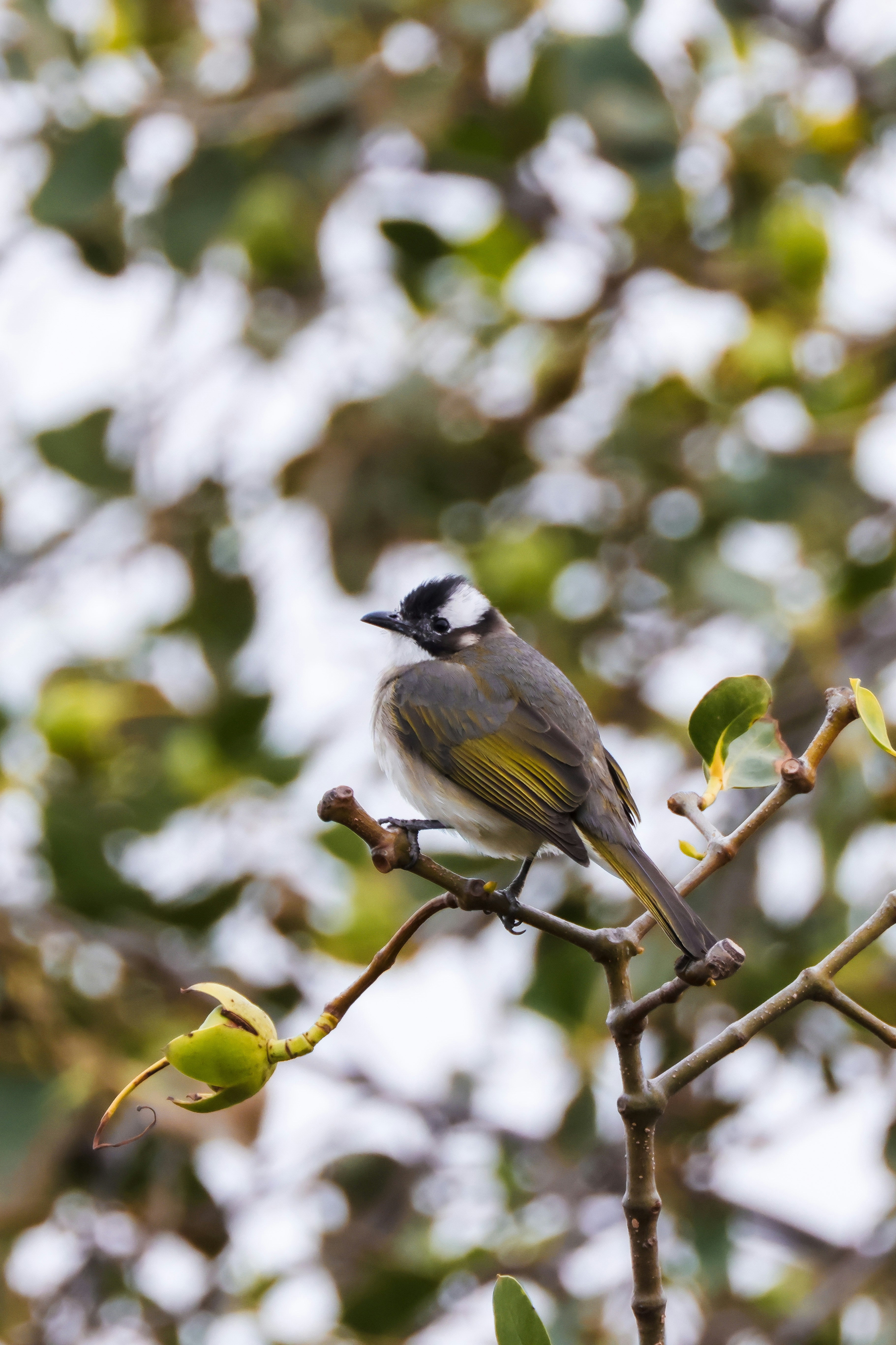 Photo by dickenslin76