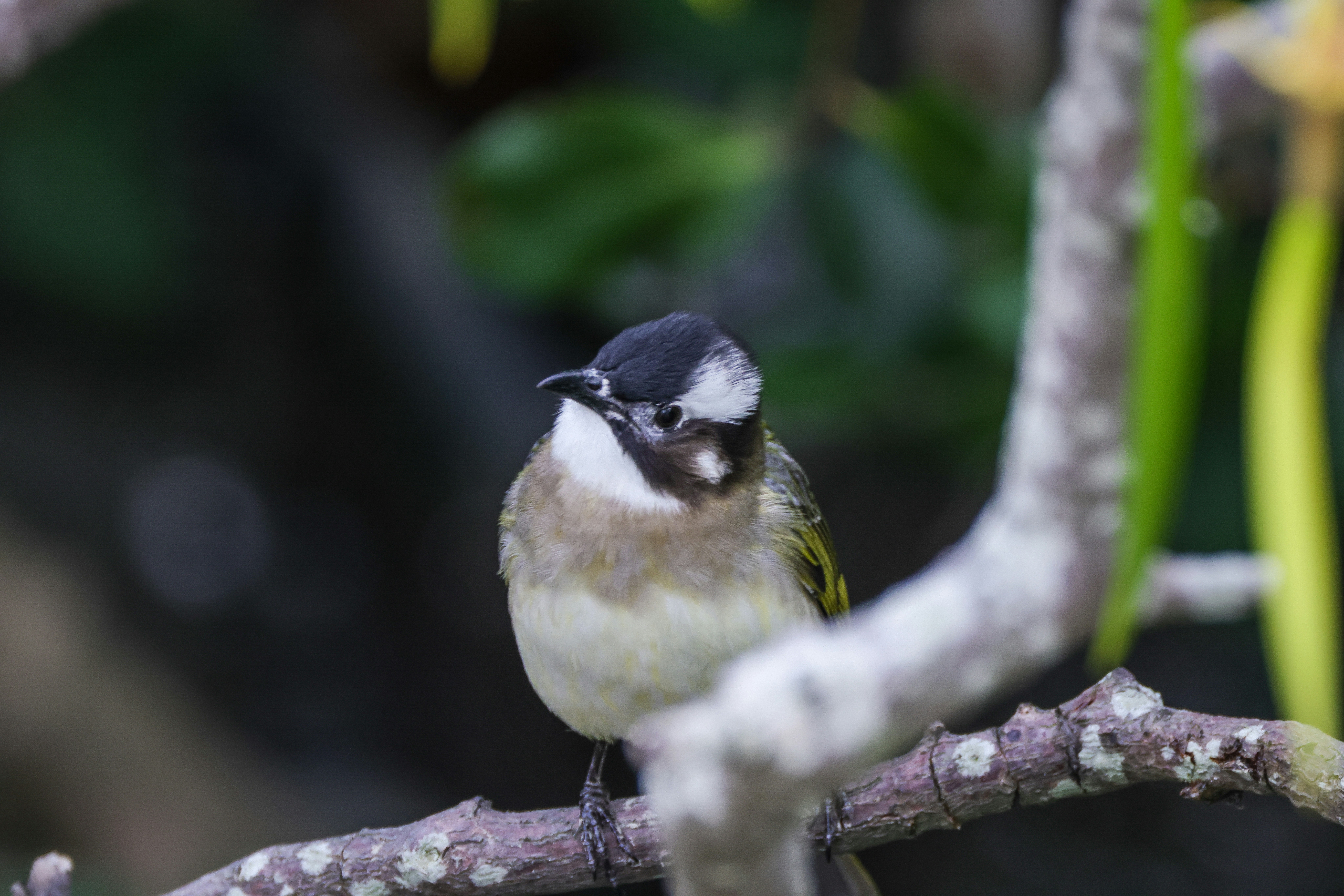 Photo by dickenslin76