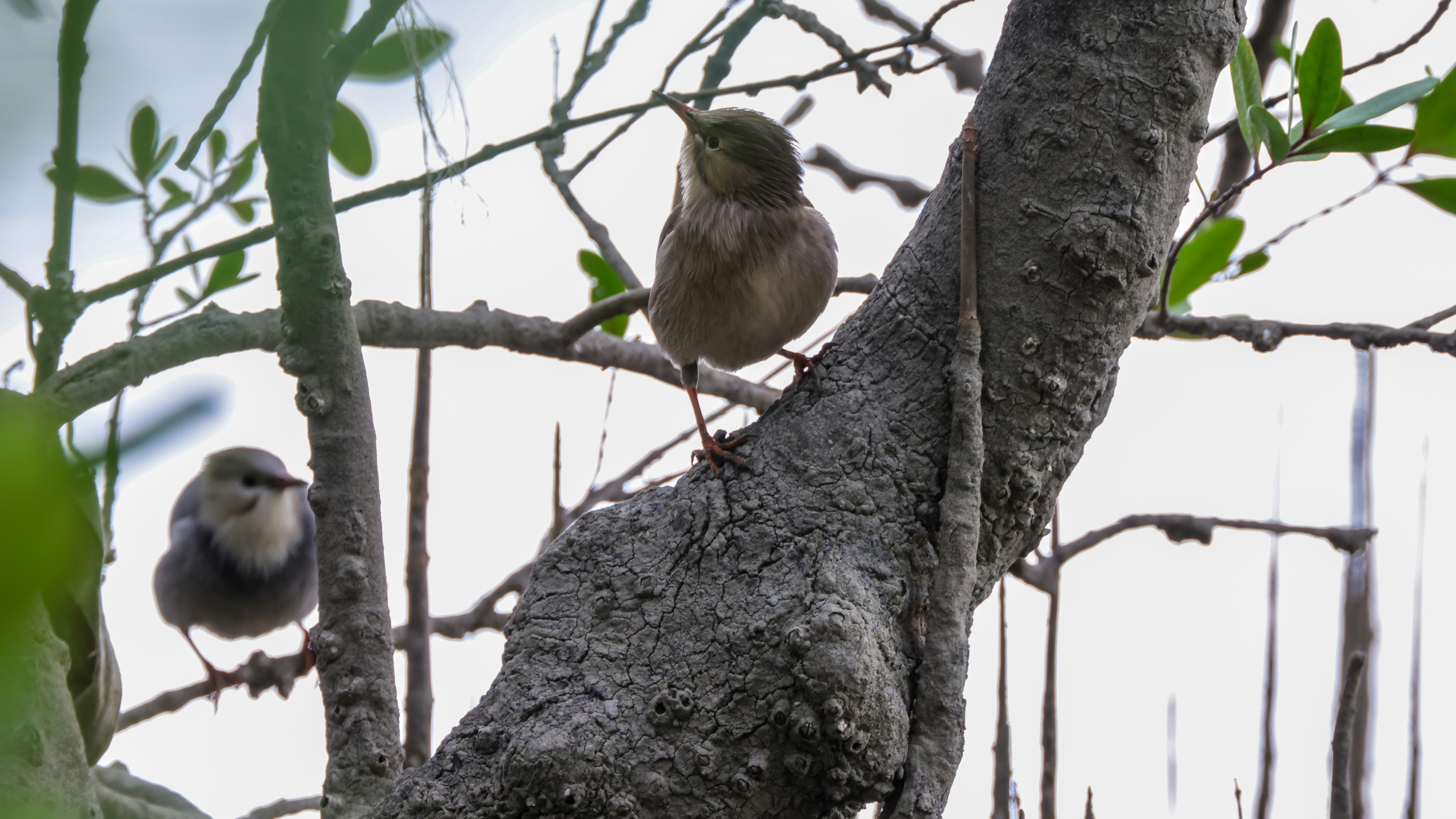 Photo by dickenslin76