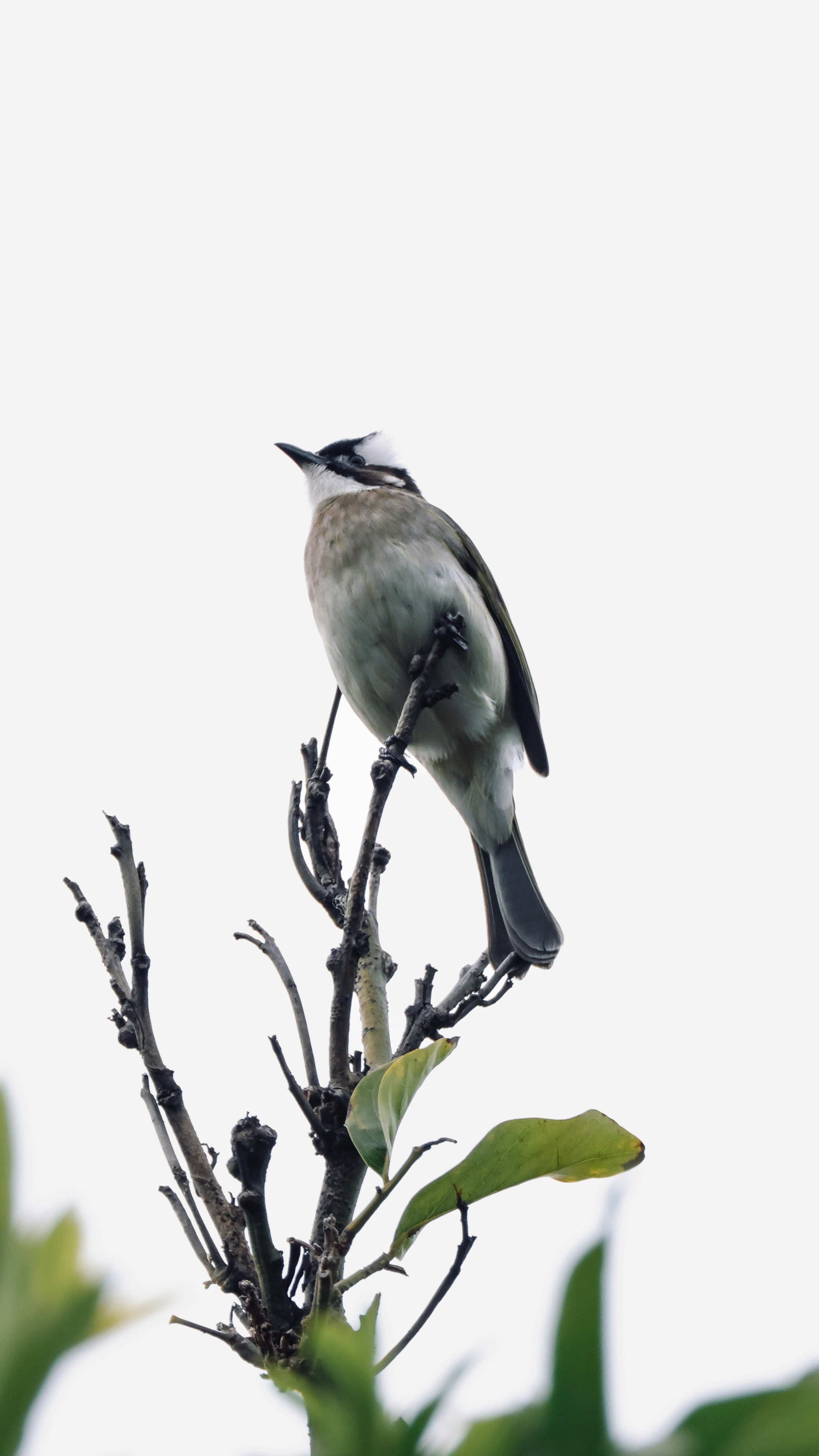 Photo by dickenslin76