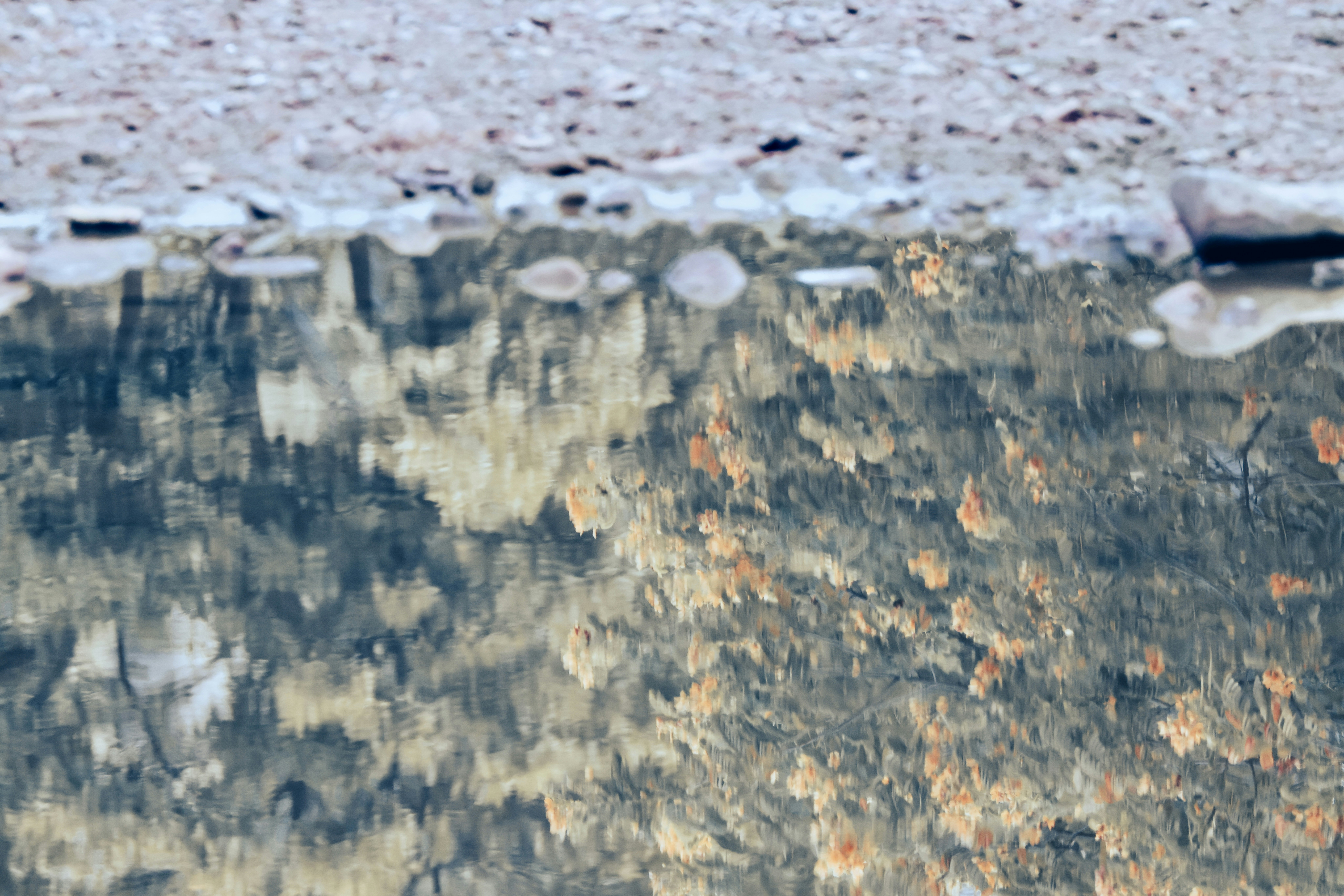 Photo by dickenslin76