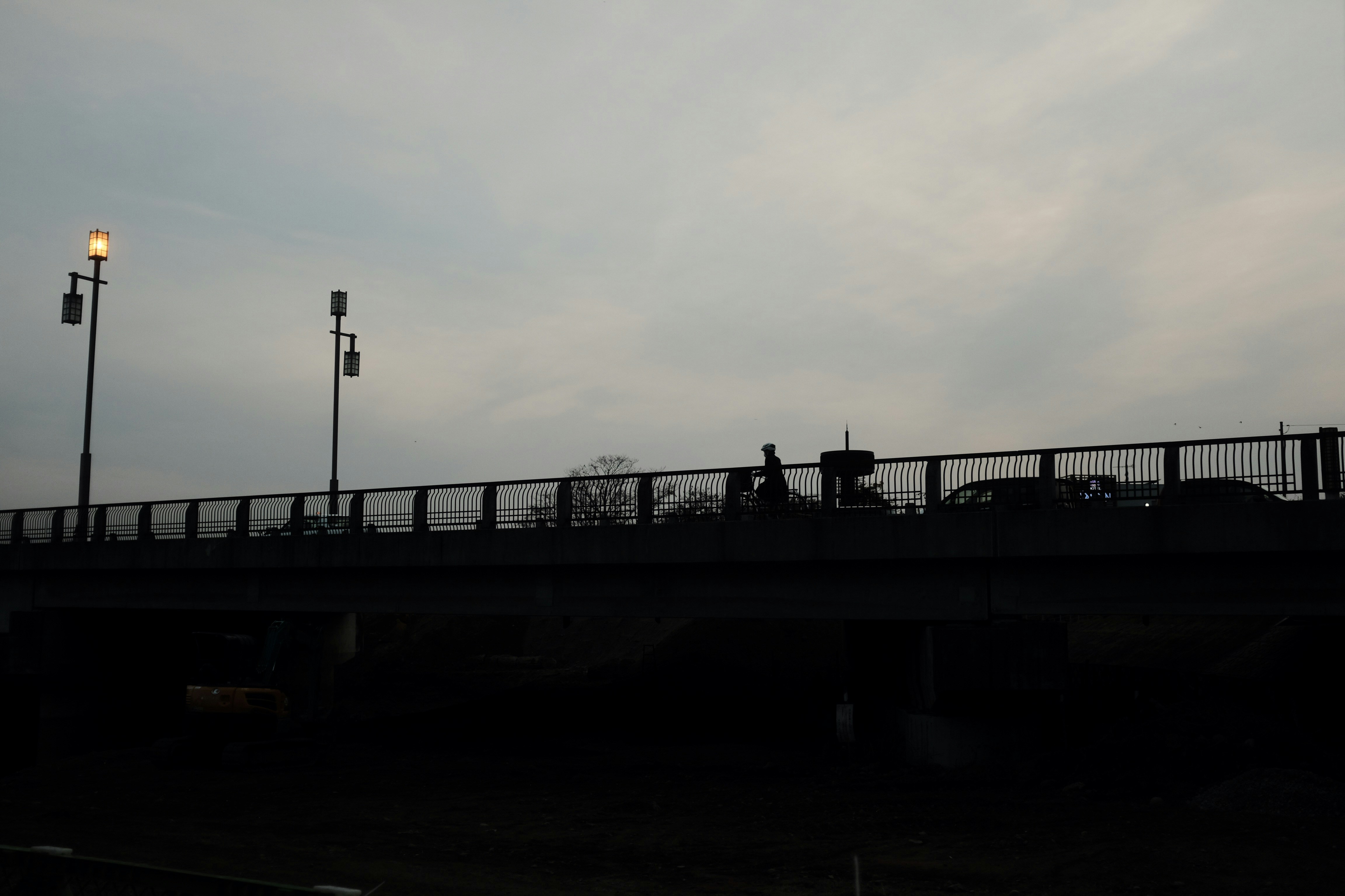 Virat Kohli News: Latest Updates on Cricket's Global Icon