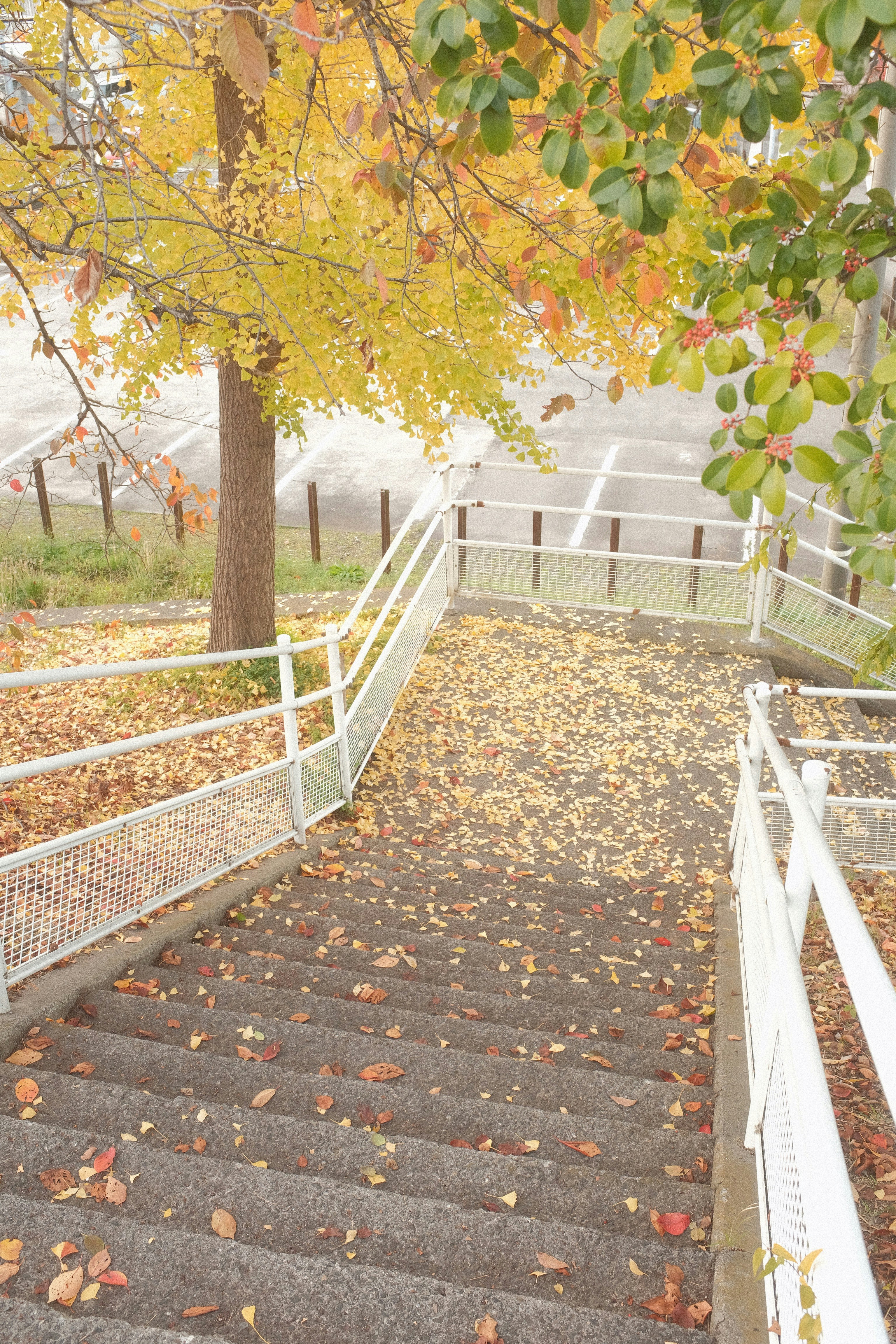 Photo by mak_jp