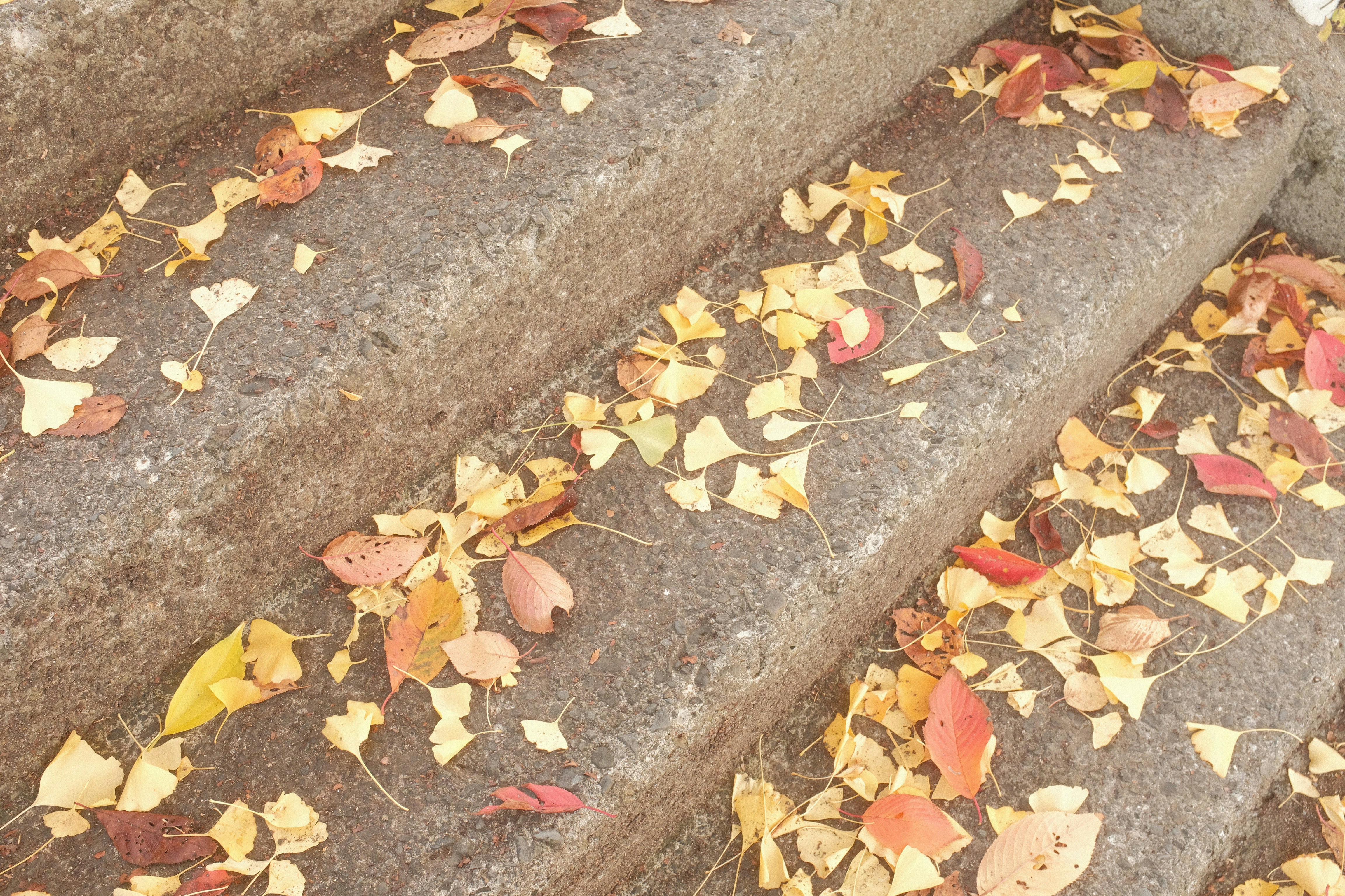 minimalist fall layers, wallpaper, Long Sleeve Tees: Styling for Perfect Layers 2