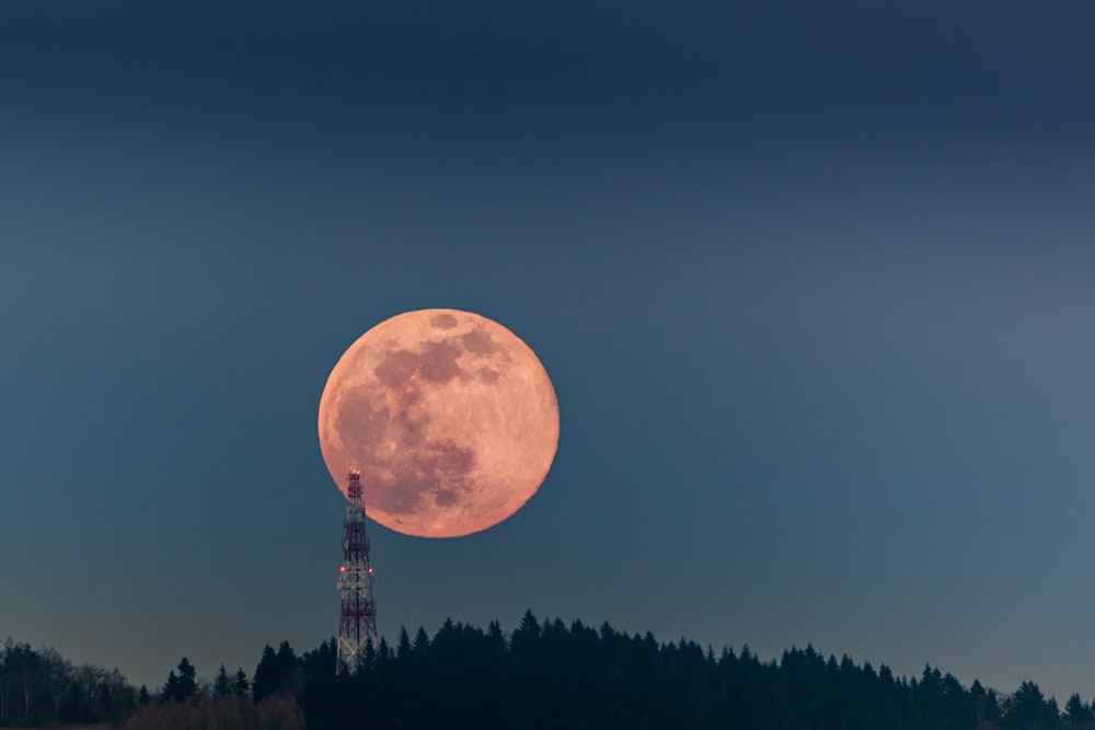 une très grande pleine lune rose se levant au-dessus d’une forêt