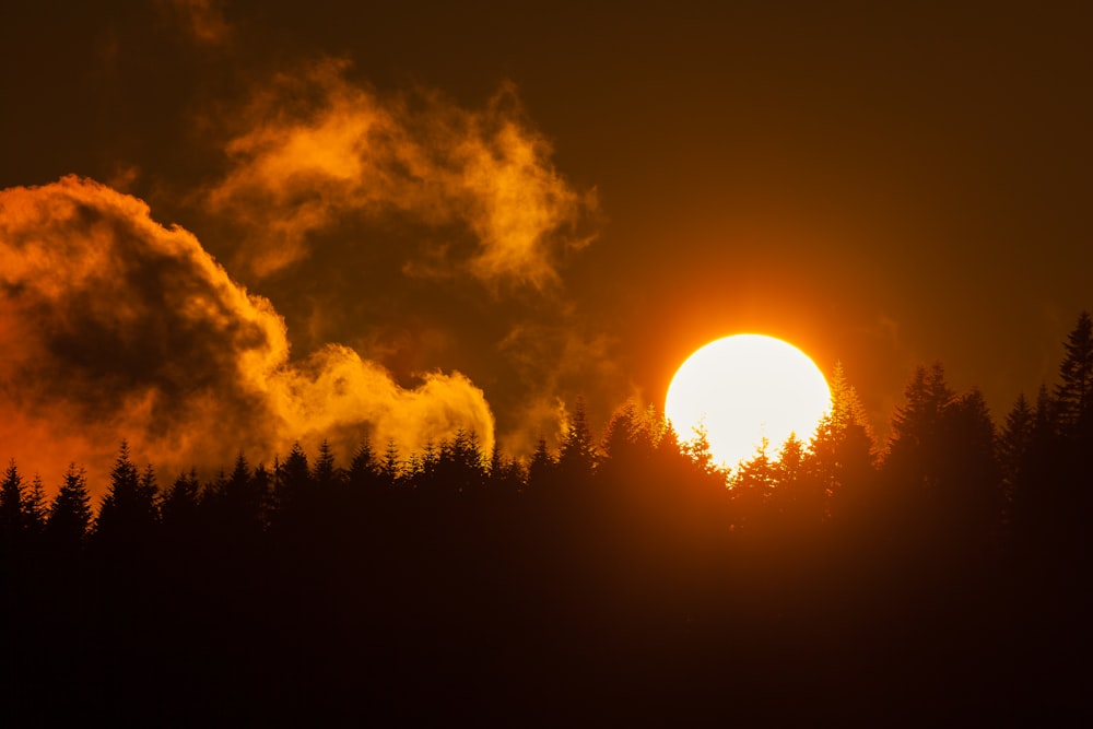 the sun is setting over the trees in the forest