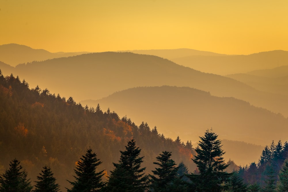 a view of a mountain range with trees in the foreground