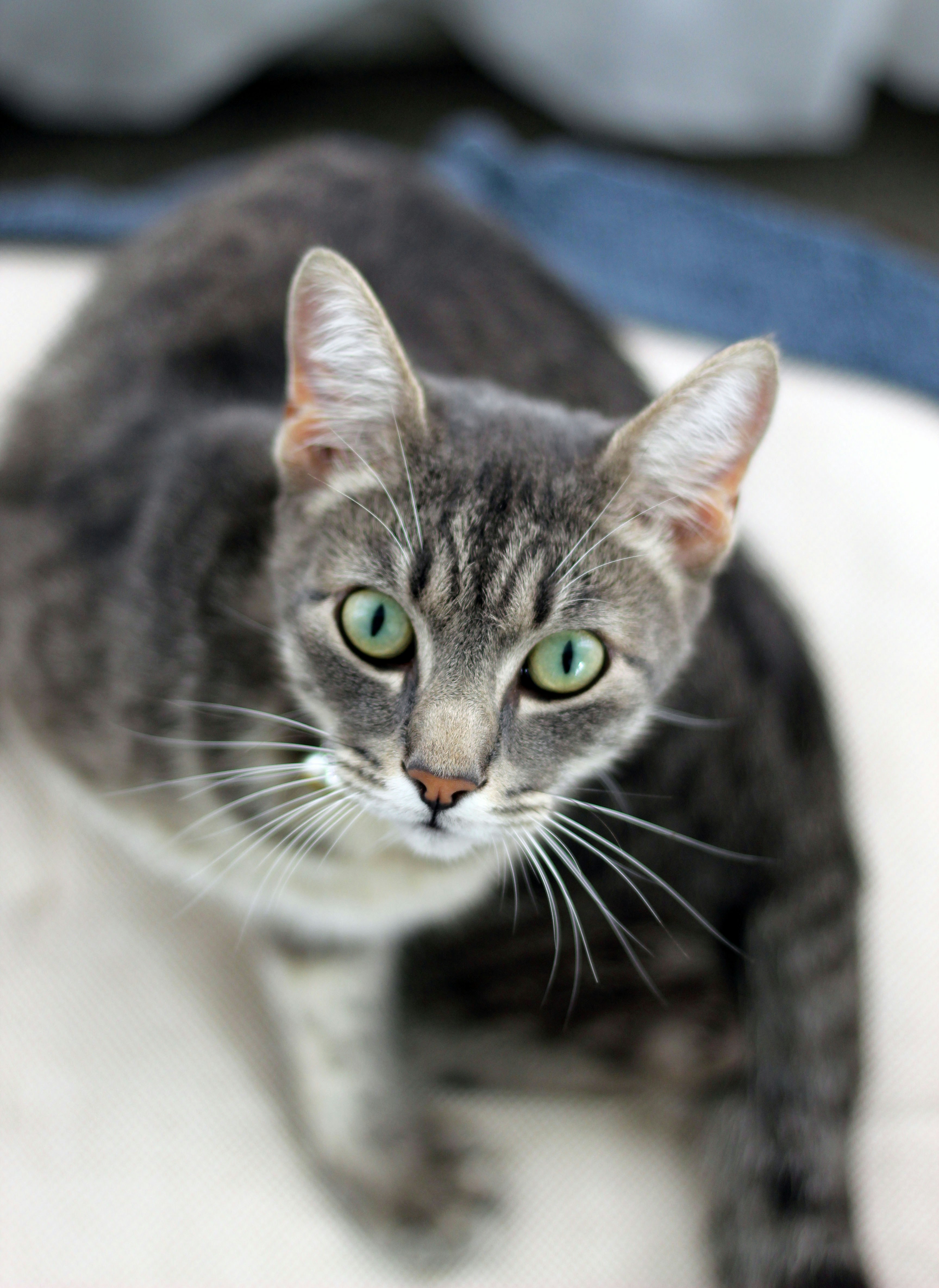 Photo by taylabrandpics