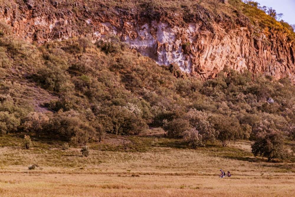 a couple of horses grazing on a lush green hillside