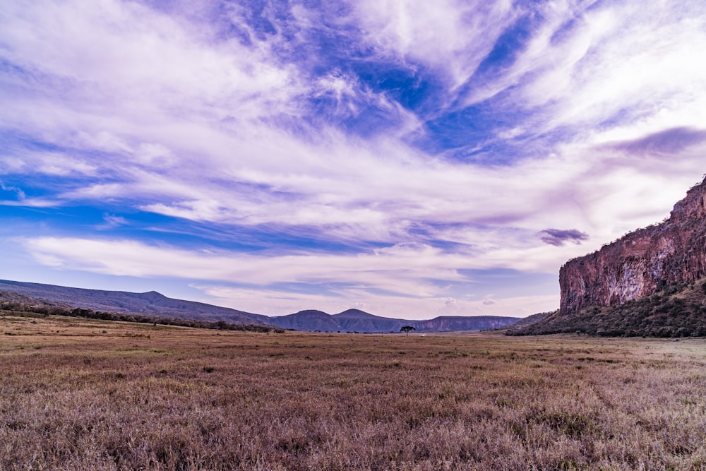 a field with a mountain in the background