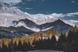 a mountain range with trees and mountains in the background