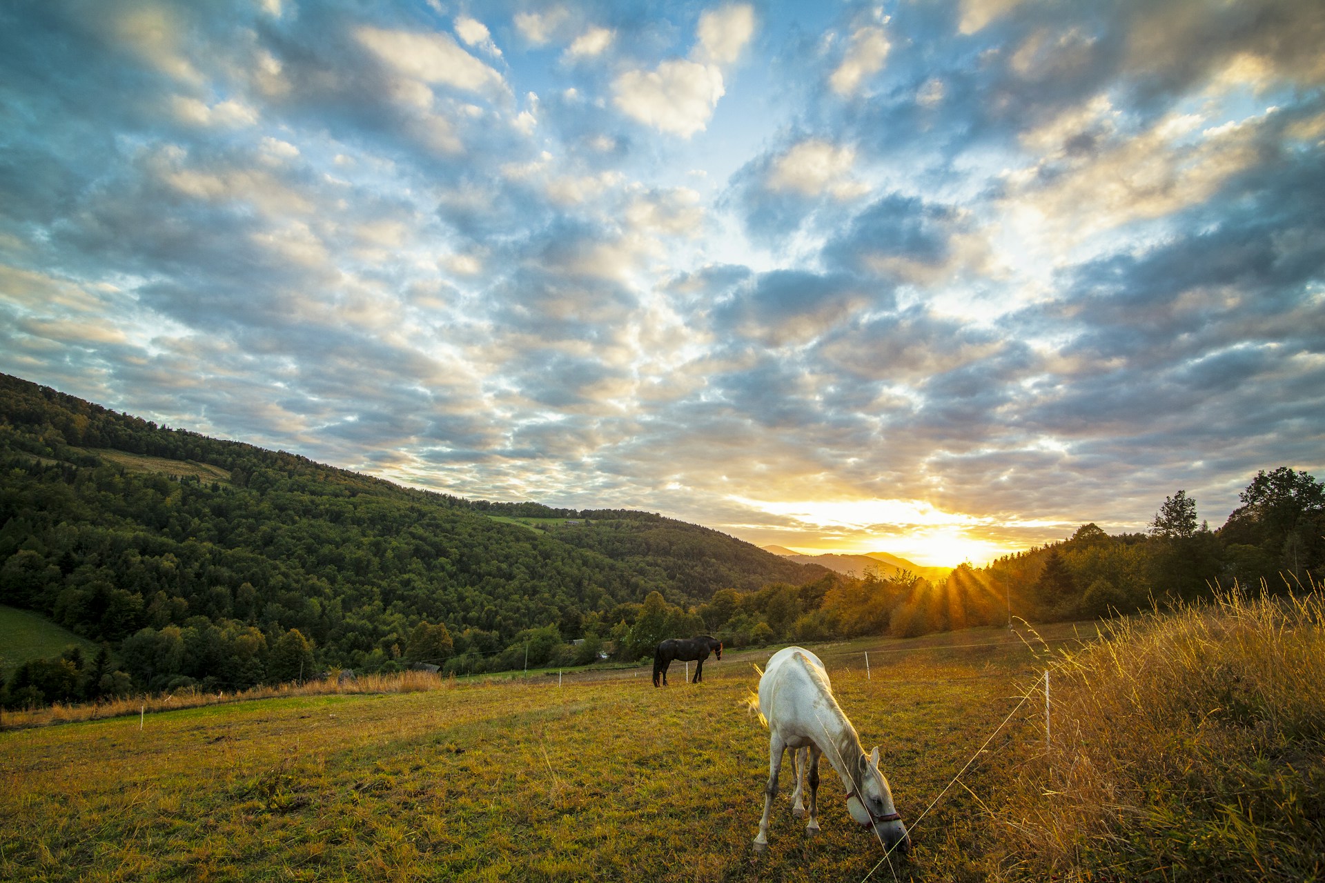 gray computer monitor