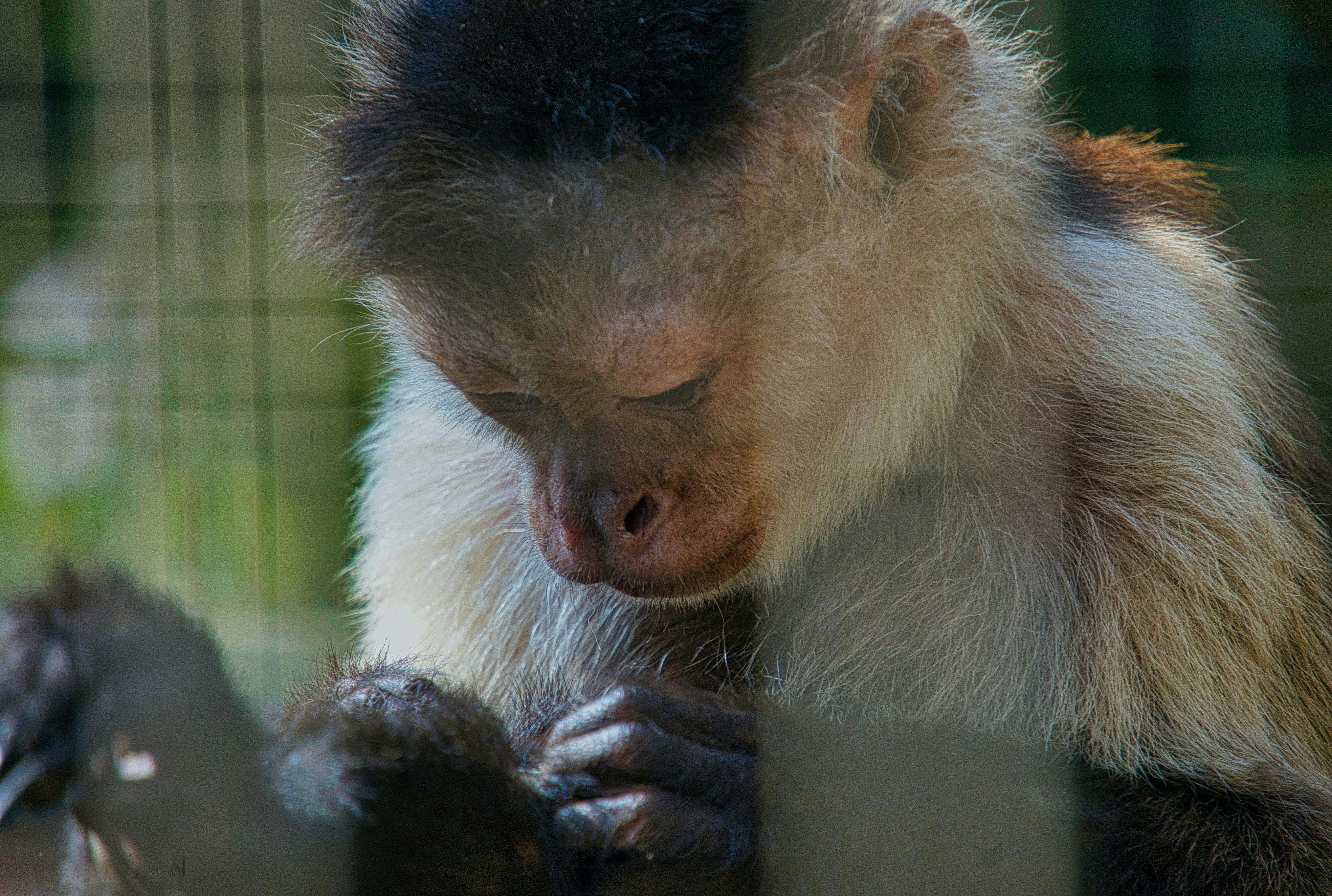 Photo by t6adventures